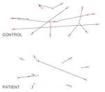 How to analyse semantic speech networks